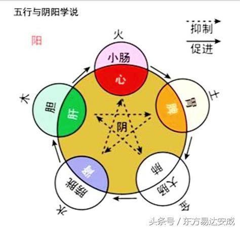 陰陽五行 英文|陰陽五行